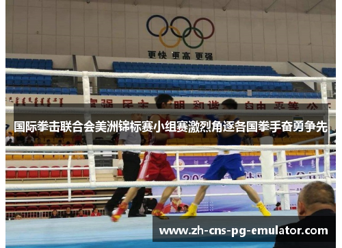 国际拳击联合会美洲锦标赛小组赛激烈角逐各国拳手奋勇争先 国际拳击联合会美洲锦标赛小组赛激烈角逐各国拳手奋勇争先