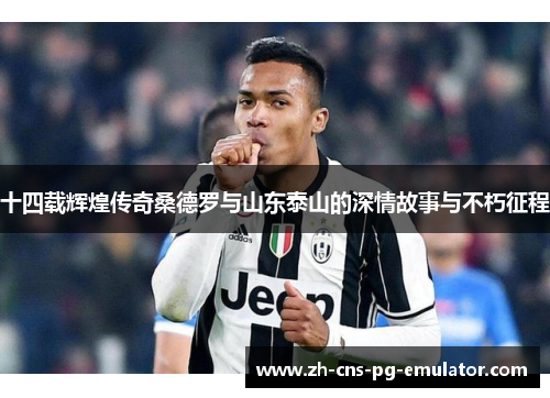 十四载辉煌传奇桑德罗与山东泰山的深情故事与不朽征程 十四载辉煌传奇桑德罗与山东泰山的深情故事与不朽征程