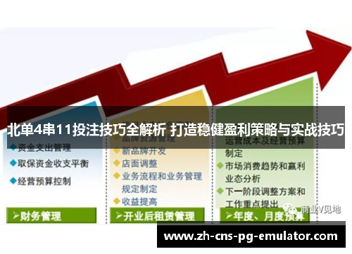 北单4串11投注技巧全解析 打造稳健盈利策略与实战技巧 北单4串11投注技巧全解析 打造稳健盈利策略与实战技巧