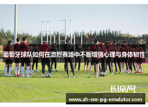 葡萄牙球队如何在激烈赛场中不断增强心理与身体韧性