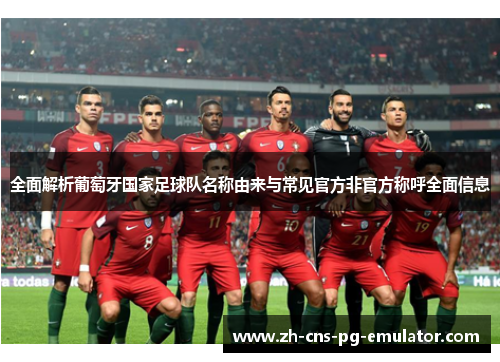全面解析葡萄牙国家足球队名称由来与常见官方非官方称呼全面信息