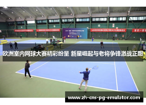 欧洲室内网球大赛精彩纷呈 新星崛起与老将争锋激战正酣 欧洲室内网球大赛精彩纷呈 新星崛起与老将争锋激战正酣