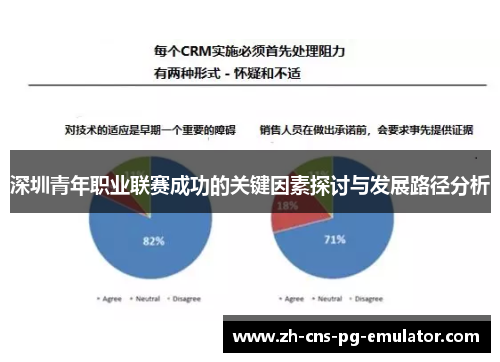 深圳青年职业联赛成功的关键因素探讨与发展路径分析 深圳青年职业联赛成功的关键因素探讨与发展路径分析