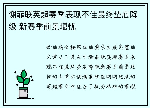 谢菲联英超赛季表现不佳最终垫底降级 新赛季前景堪忧